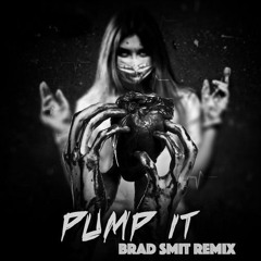 Cat Dealers - Pump It (Brad Smit Remix)
