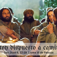 ¿Estoy dispuesto a caminar? San Juan 6, 22-29. Lunes III de Pascua