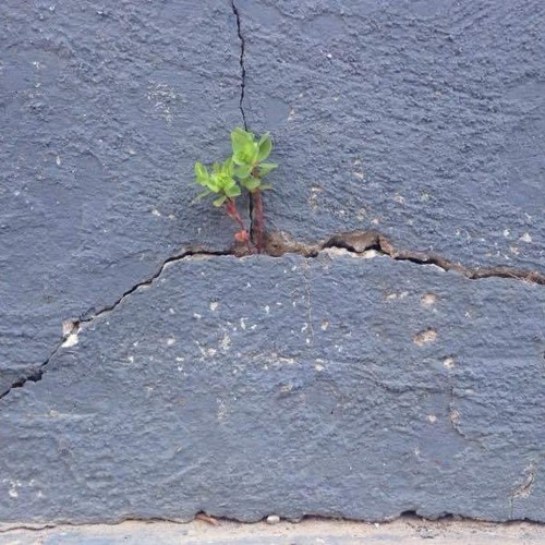 مزج ومشاعر