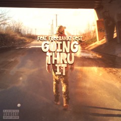 GOING THRU IT (feat. Freebandz Test)