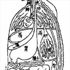 Shogun Assassin (1980) OST