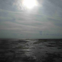 BLUEBIRD PARADE - Crossing The Border