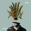 Descargar video: Moglii - Away From Me