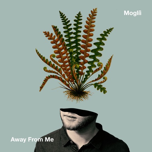 Moglii - Away From Me