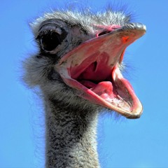 Water Whippin In The Kitchen