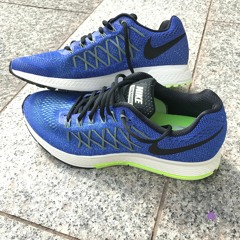 #17 London Marathon - 181 km - Nike Pegasus 32