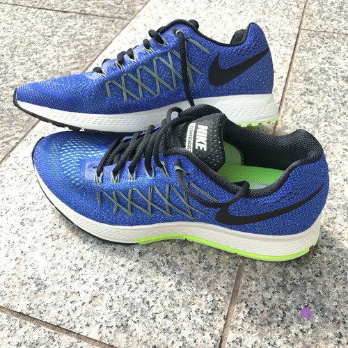 nike pegasus km