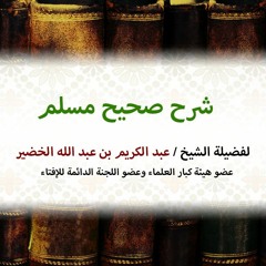 شرح صحيح مسلم - كتاب الحج - 29