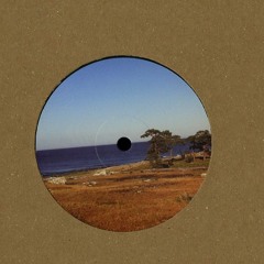 Mr. Tophat & Art Alfie - King Hassan (Shutted Blinds 3:PM)(2012)