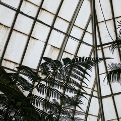 GlassHouse