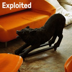 Ossie - Honey | Exploited