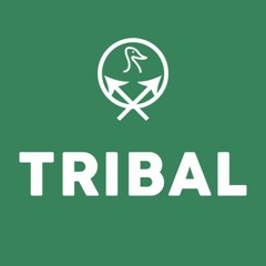 tribal_2016_q3.grtv