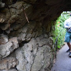 Tunnel