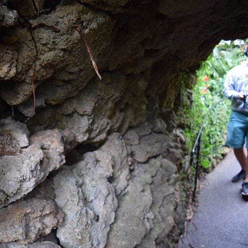 Tunnel