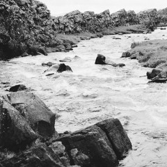 Experimental Ambient Kraut And More