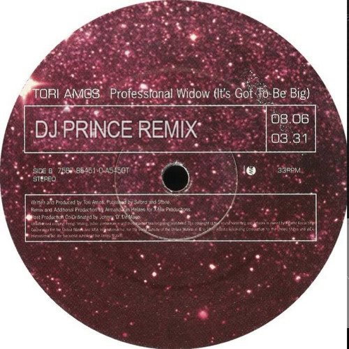 Tori Amos - Professional widow (its gotta be big) DJ Prince Remix