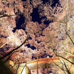 PianoHouse 「ソメイヨシノ」