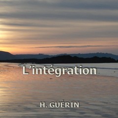 2017 - L'intégration (Maquette d'album)