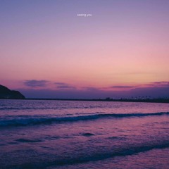 Idealism - Seeing You (flip)