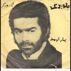شاپرکها - محمد رودگر