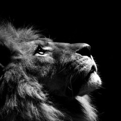 Dark Emotional Trap Beat Instrumental-Hope-[WalidossBeatZ] 2017