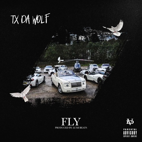 FLYEST @TXDAWOLF (PROD. Lumi Beats)