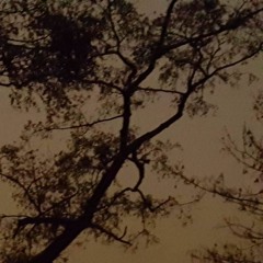 Night Train (Demo) - Zacharie Lambert