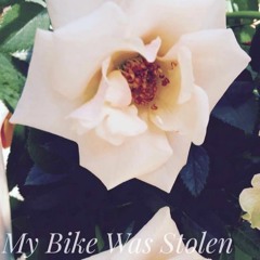 My Bike Was Stolen