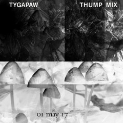 THUMP Mix: Tygapaw