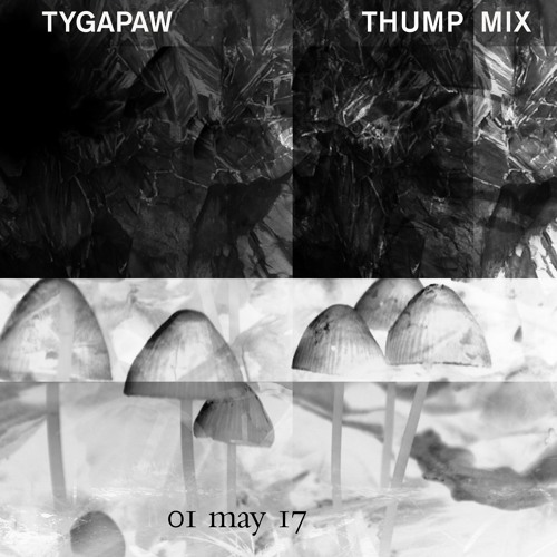 THUMP Mix: Tygapaw