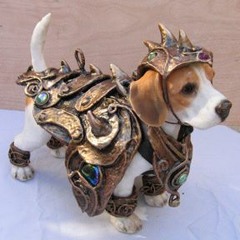 Puppy Warriors