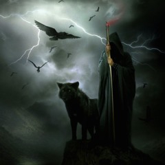 The Diary of Ariel Renee ~ Release the Wolves