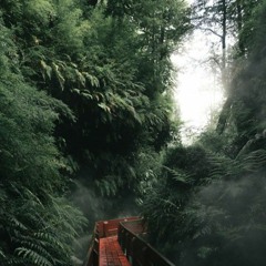 Attention - Fluorish