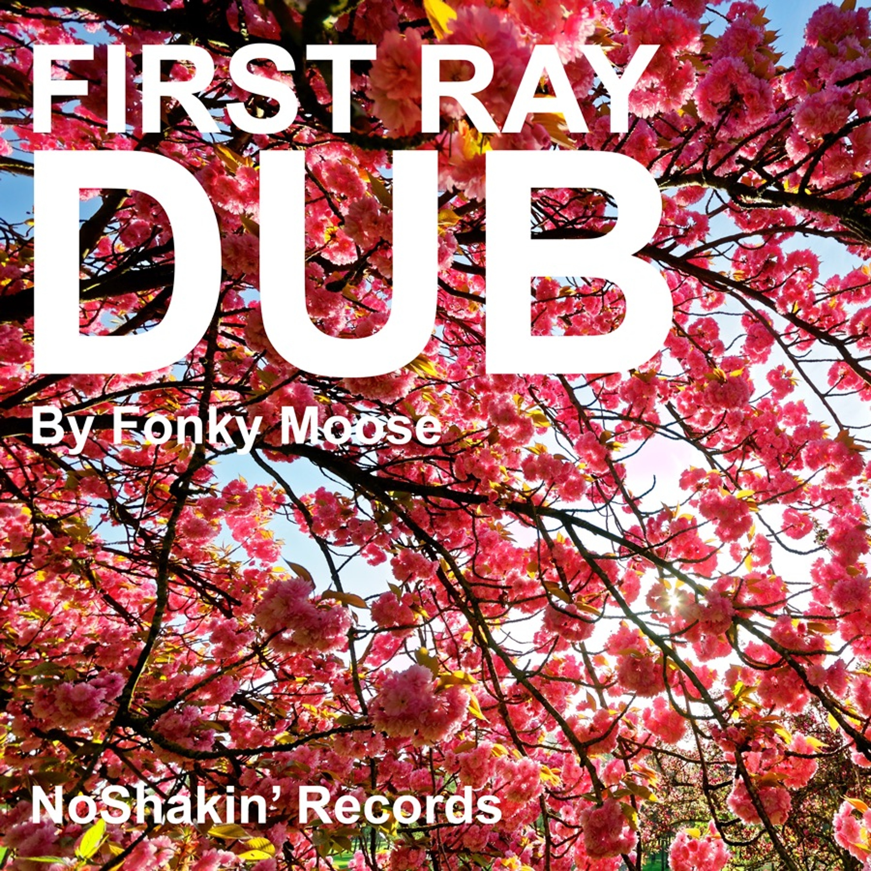 First Rays Dub - Vynil Version episode artwork