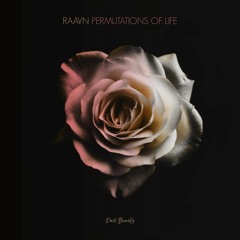 Raavn - Permutations of Life (Original Mix)