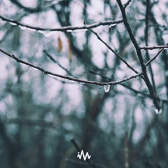 KOSIKK - Expanse