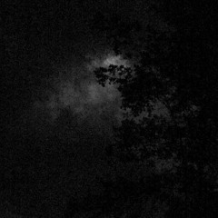 Woodstock (Prod. Kartier)