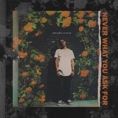 Really Are (Bonus)(prod. by Anthony Cruz)