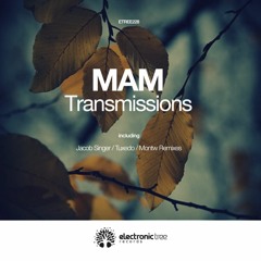 MAM (AR) - Transmissions (Jacob Singer Remix)[Electronic Tree]