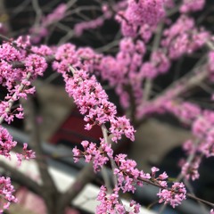 late night @ keybar live 04/27/17