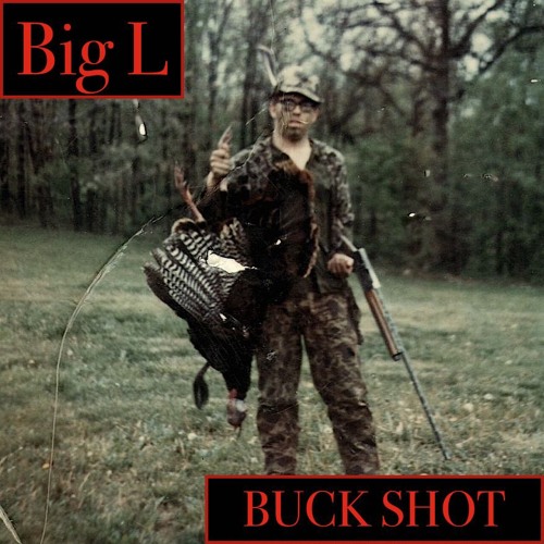 洋楽 MAIN ONE 1995 D.I.T.C. BUCKWILD BIG L MAIN ONE 1995
