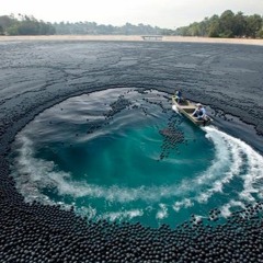 Something in the water