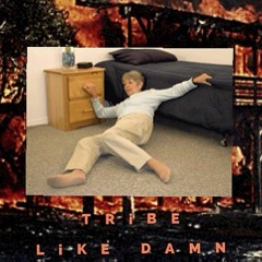 TRiBE - LiKE DAMN Ft. Zay(Prod. Nish)