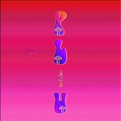 Benign Pleasure's (Psychedelic Hip Hop)