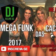 Mega Funk Das Cachorradas - Abril (Dj Felipe SC)