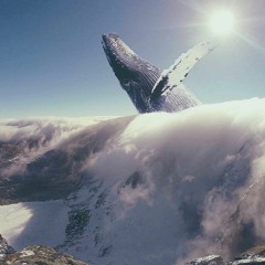 Leave Me With The Whales