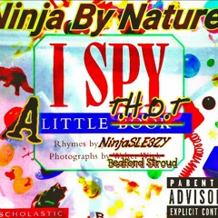 I SPY (SLE3ZMIX)
