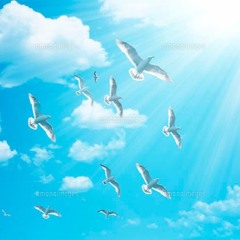 『Everyday Is Newday』GalickBoys/BEATBANK