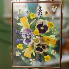 Andre Soueid Violin Cover- Ma Baaref أندريه سويد