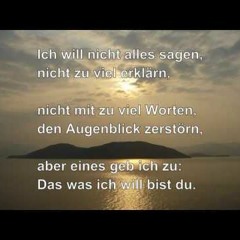 Ohne Dich (schlaf ich heut Nacht nicht ein) - Münchener Freiheit Cover Tina Söllner